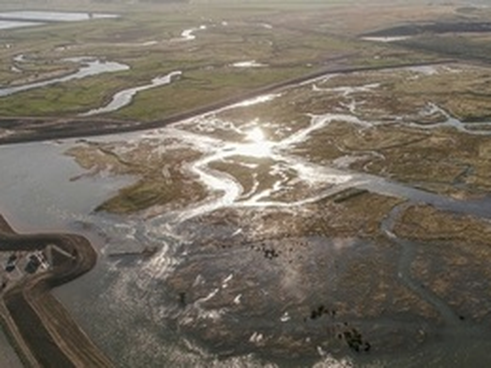 Greatham South Flood Alleviation Scheme reaches completion, UK