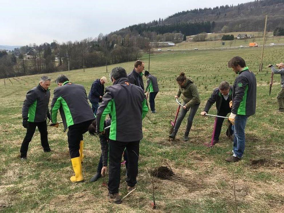 Bäume für Bärenstein
