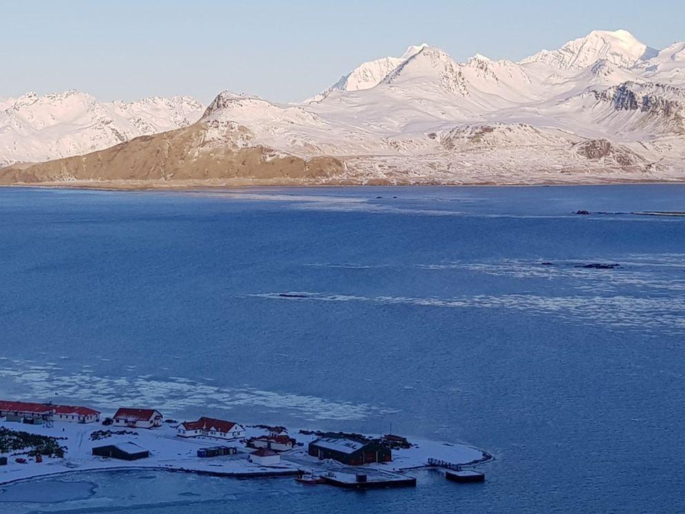 Sub-Antarctic island celebrates Shackleton Day with New Wharf for the RRS Sir David Attenborough