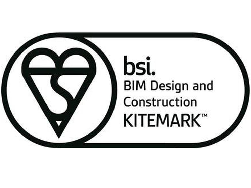 BSI logo