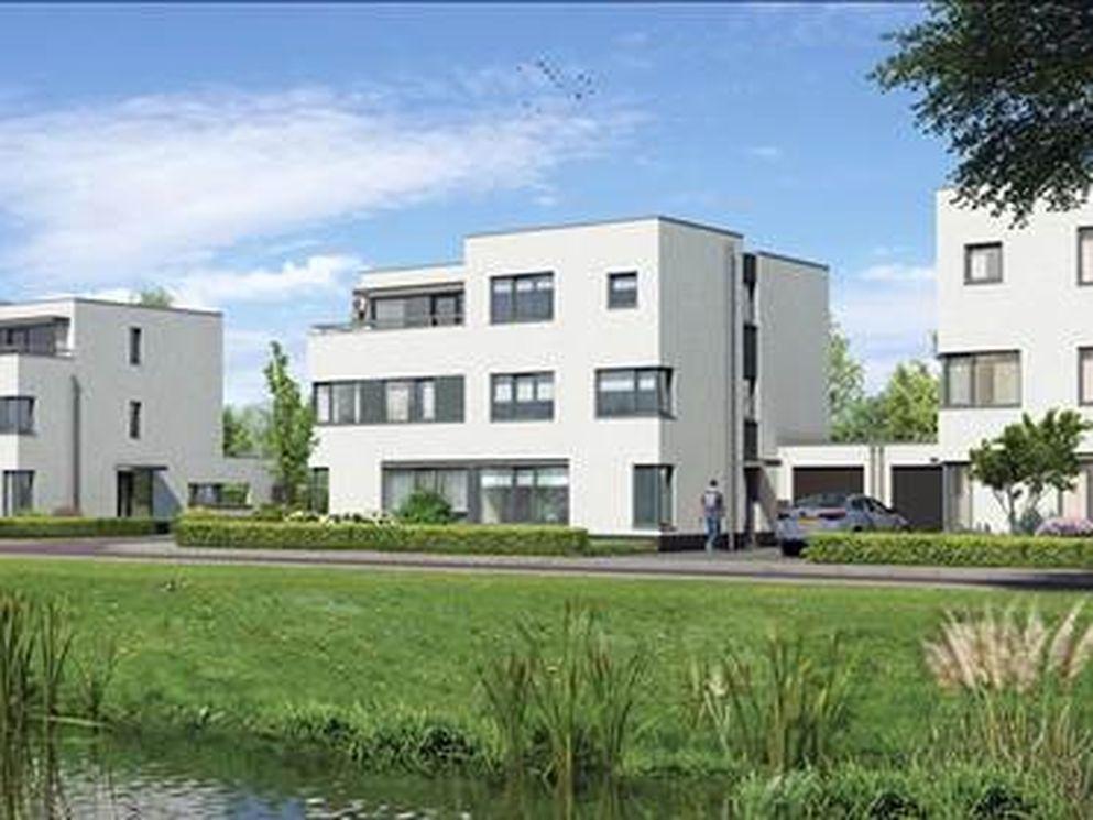 Artists impression Riet Park ‘s-Hertogenbosch