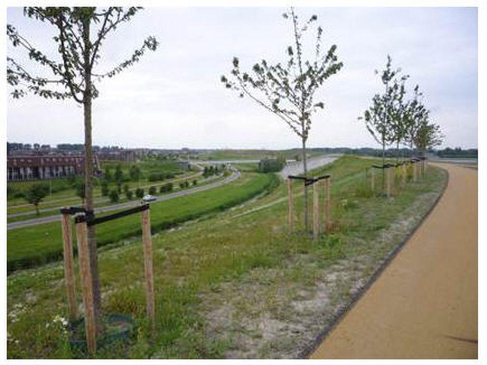 Carnisserpark