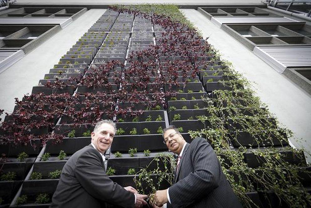 Eerste groene kantoorgevel in Haagse regio