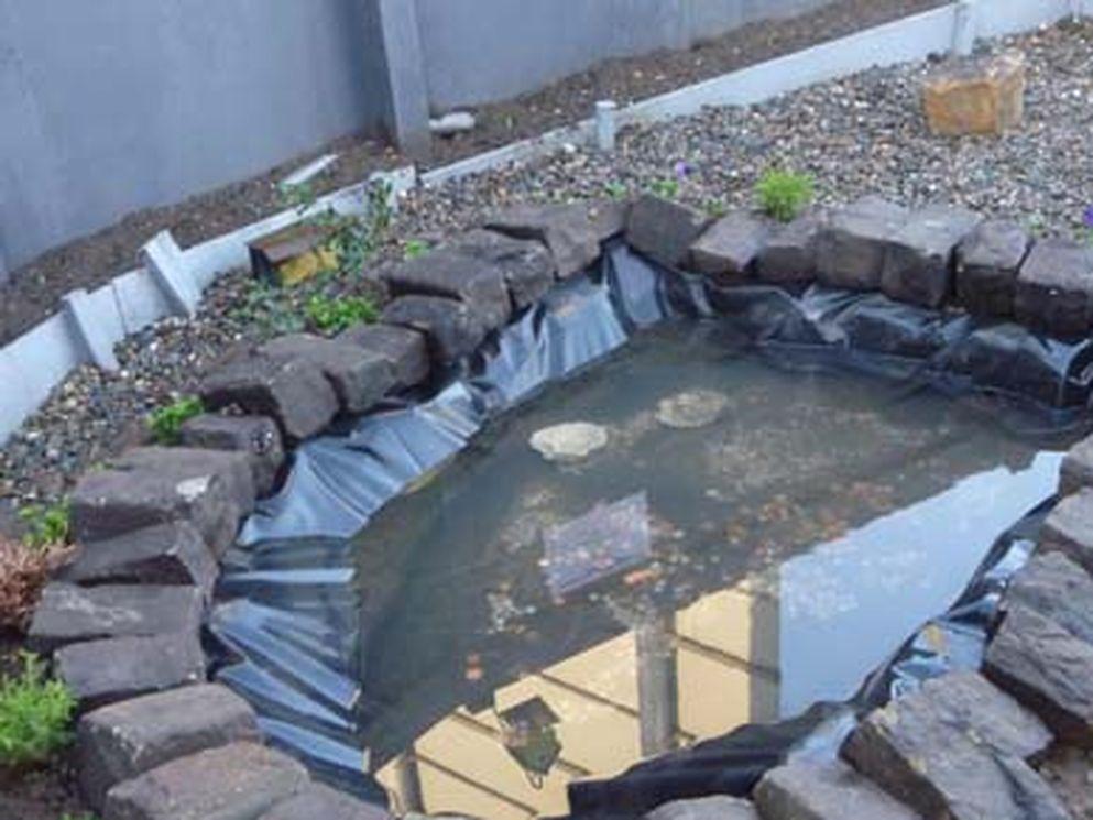 Japanese knot weed water feature helps Manchester's Co-operative Head Office achieve astonishing score from independent inspectors