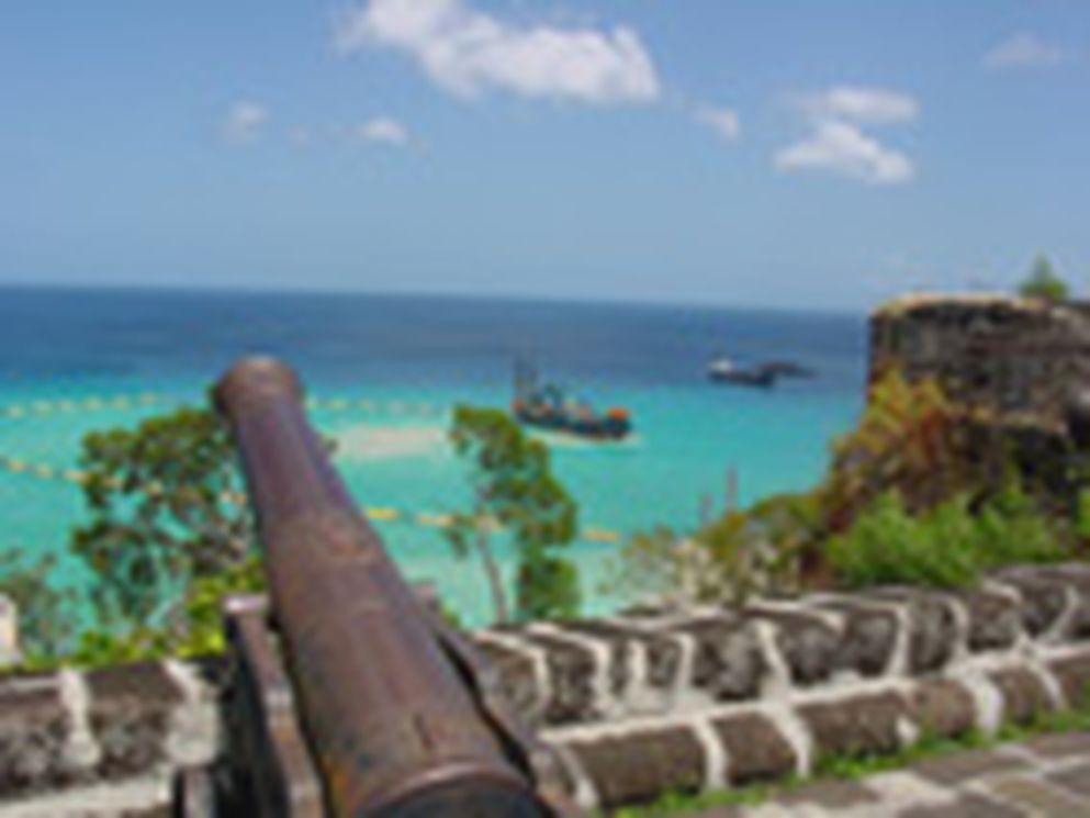 Paradise improved