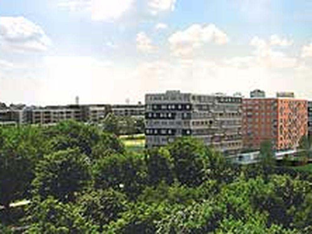 Voltooiing nadert van 281 appartementen ArenA-park