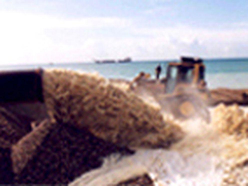 New groynes and shingle for Shoreham