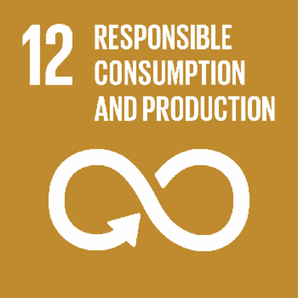 Sustainability SDG 12