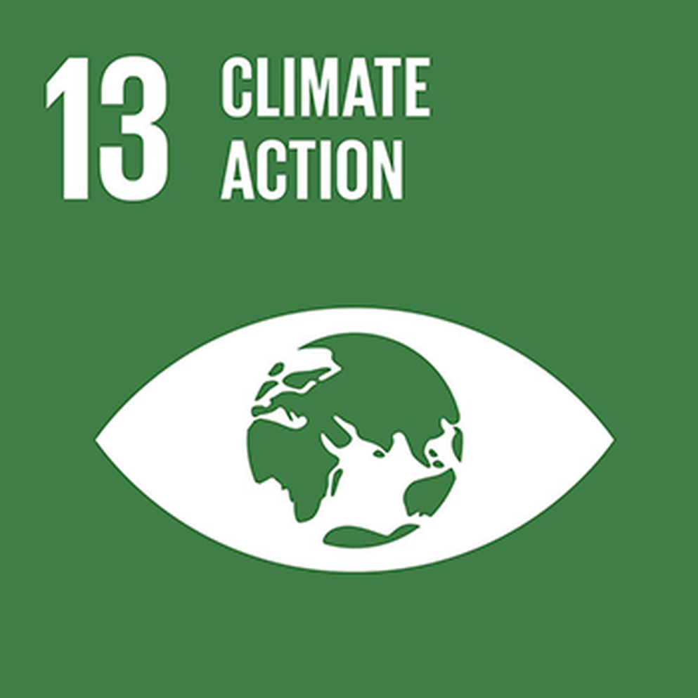 Sustainability SDG 13
