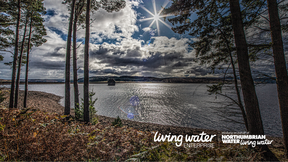 Living Water Enterprise framework