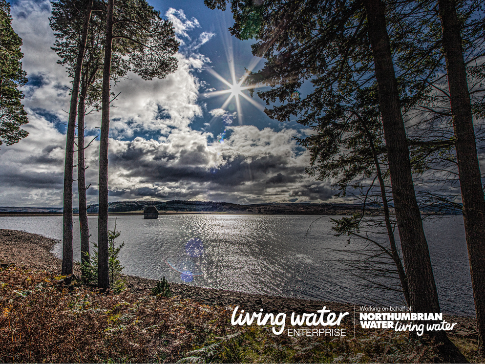 Living Water Enterprise framework