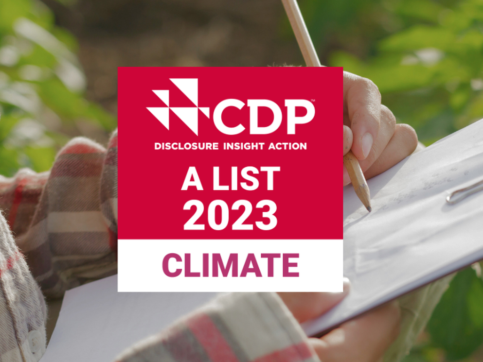 BAM recognised for leading efforts against climate change