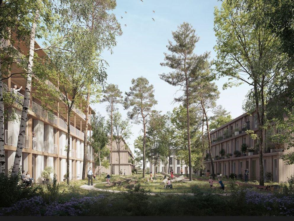 AM geselecteerd om stationsgebied Heemskerk te ontwikkelen tot een natuurinclusief landschap met stedelijk wonen