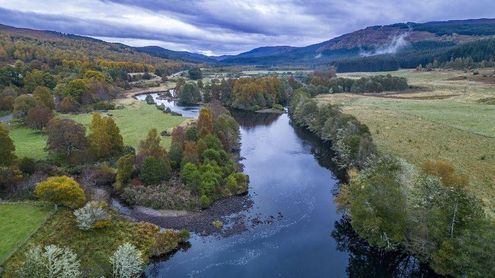 Growing wild: BAM’s future leaders embrace rewilding in the Scottish Highlands