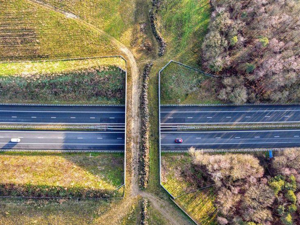 BAM sluit zich aan bij Netwerk Groene Bureaus: deskundig en natuurinclusief bouwen
