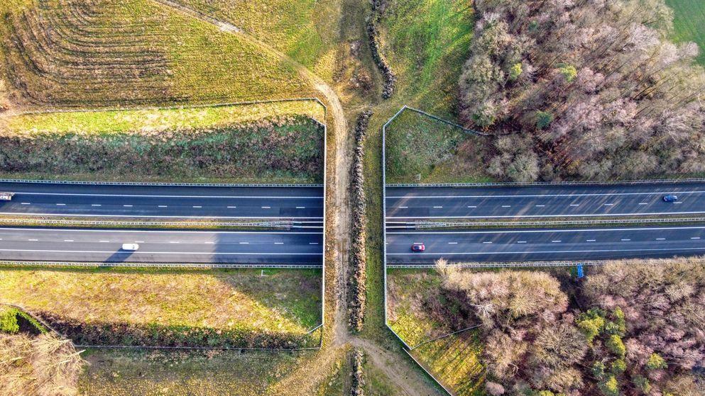 BAM sluit zich aan bij Netwerk Groene Bureaus: deskundig en natuurinclusief bouwen